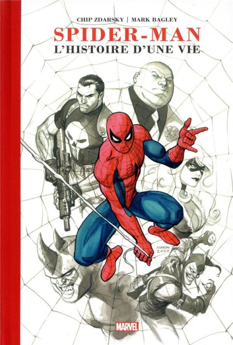 Spider-Man : L'Histoire d'une vie