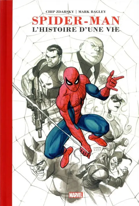 Couverture de l'album Spider-Man : L'Histoire d'une vie