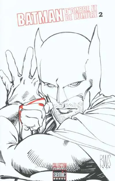 Batman : D'ombre et de lumière Tome 2 D'ombre et de lumière 2