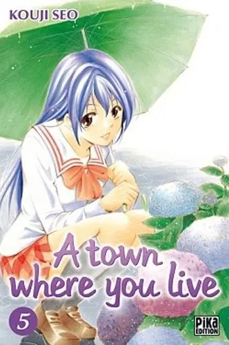 A town where you live 5