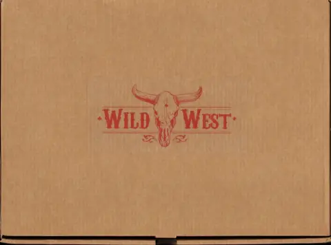 Autre de l'album Wild West Wild West