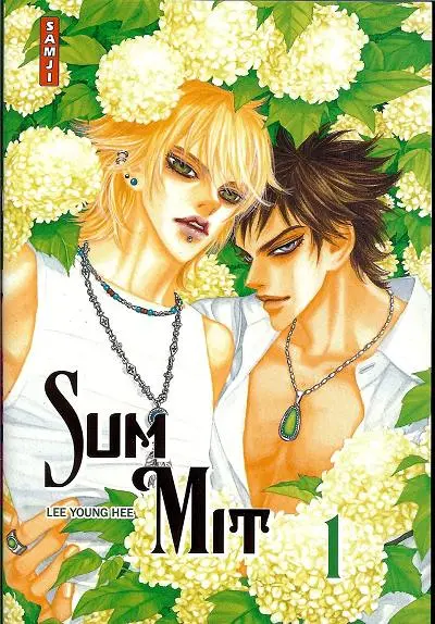 Sum Mit
