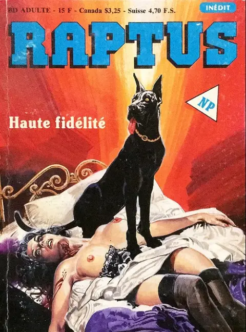Raptus Tome 11 Haute fidélité