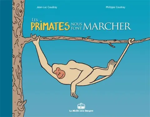 Les Primates nous font Marcher