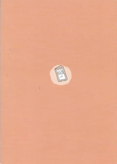 Verso de l'album Rapport de Stage