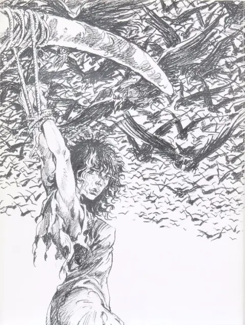 Couverture de l'album Hans Tome 9 La princesse d'Ultis