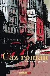 Caz roman Un américain paysage