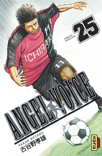 Angel Voice 25