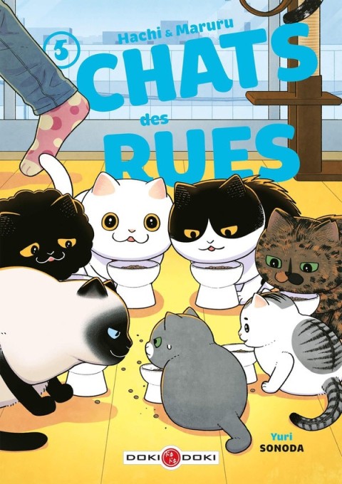 Hachi & Maruru - Chats des rues 5