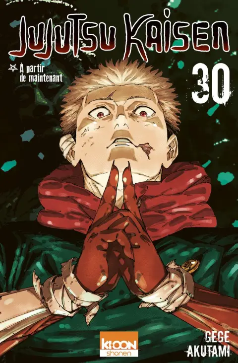 Jujutsu Kaisen 30 A partir de maintenant