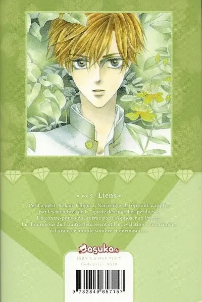 Verso de l'album Silver Diamond 5 Liens
