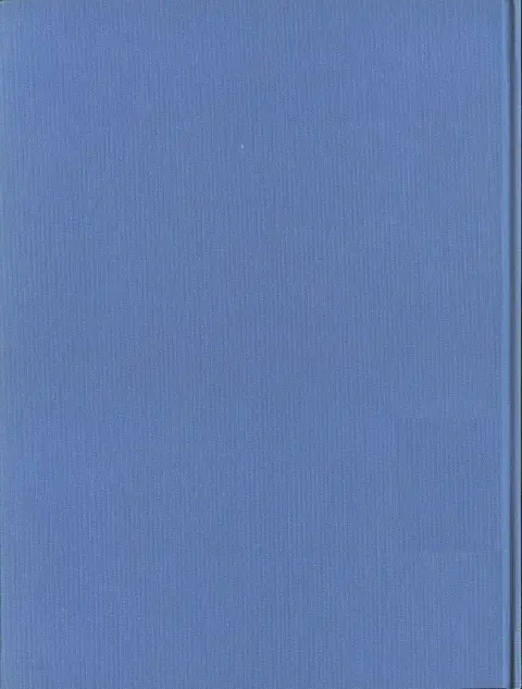 Verso de l'album Blueberry La tribu fantôme - La dernière carte