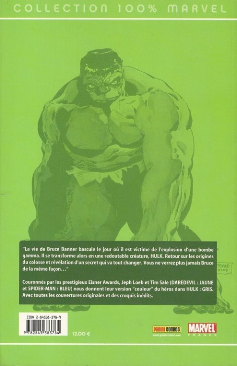 Verso de l'album Hulk Tome 3 Gris