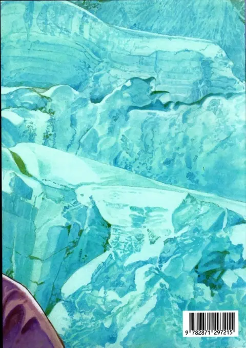 Verso de l'album Le Sommet des dieux 4