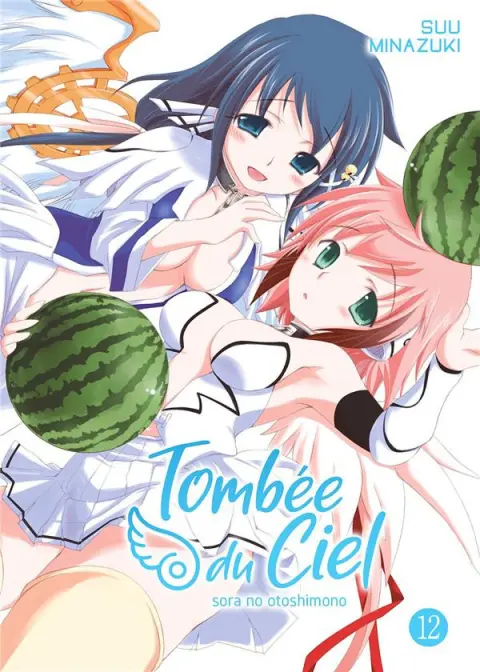 Tombée du ciel 12