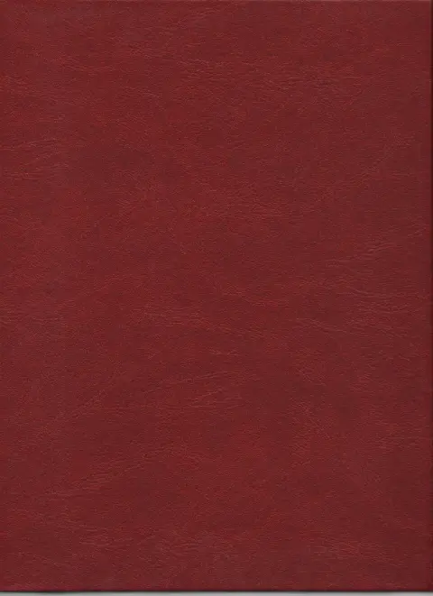 Verso de l'album Les Chefs-d'œuvre de la BD érotique Tome 6 Bizarre 1 - Des coups et des douleurs