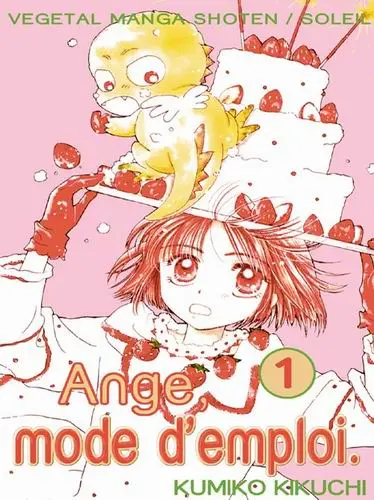 Ange, mode d'emploi