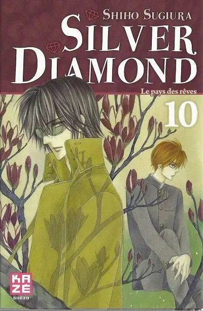 Silver Diamond 10 Le pays des rêves