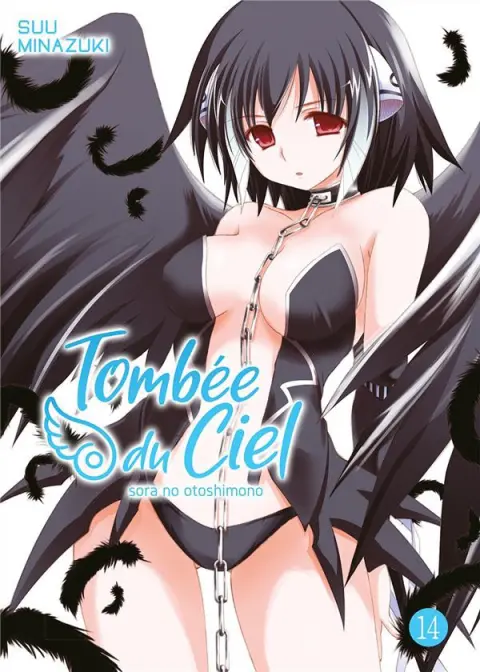Tombée du ciel 14