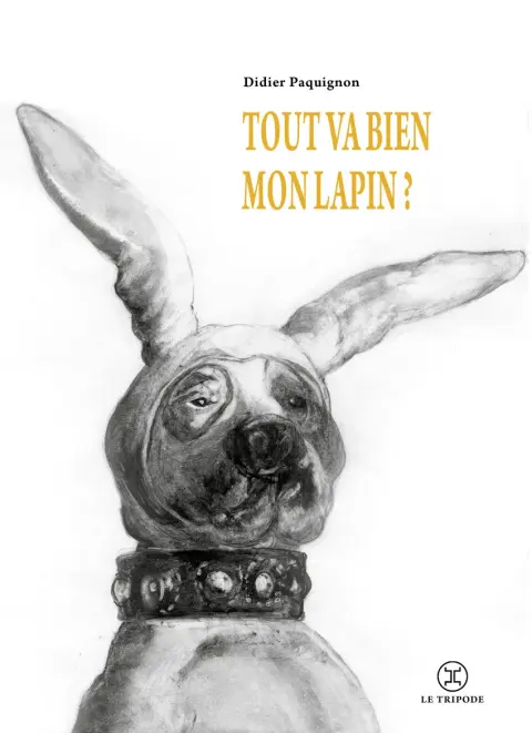 Tout va bien mon lapin ?