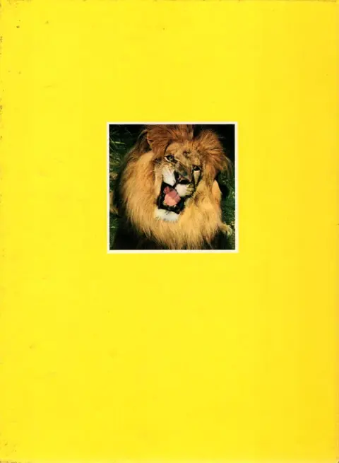 Verso de l'album Les merveilleuses aventures de Daktari