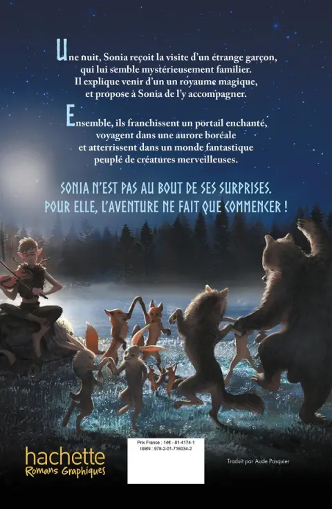 Verso de l'album Les lumières du grand nord 1 La vallée des trolls