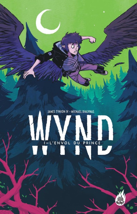 Wynd Tome 1 L'envol du prince