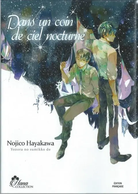 Dans un coin de ciel nocturne