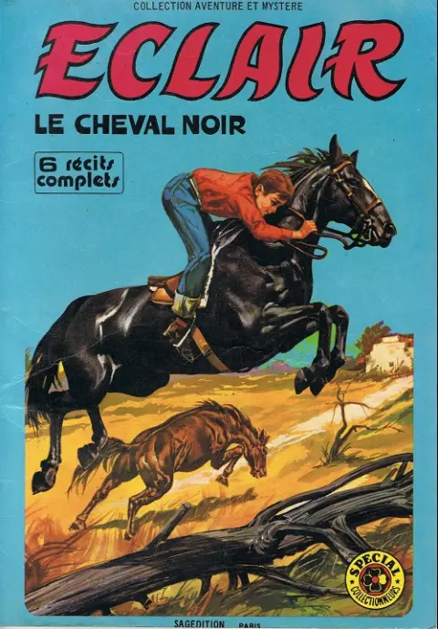 Éclair le cheval noir Le vainqueur du rodéo