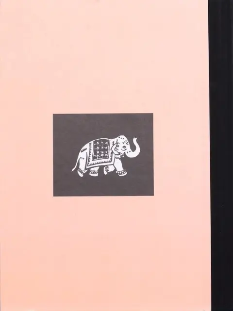 Verso de l'album India dreams Tome 2 Quand revient la mousson