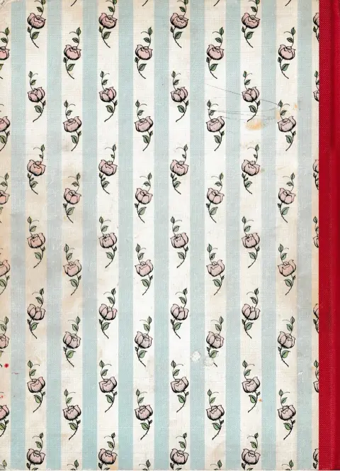 Verso de l'album Bécassine Tome 1 L'enfance de Bécassine