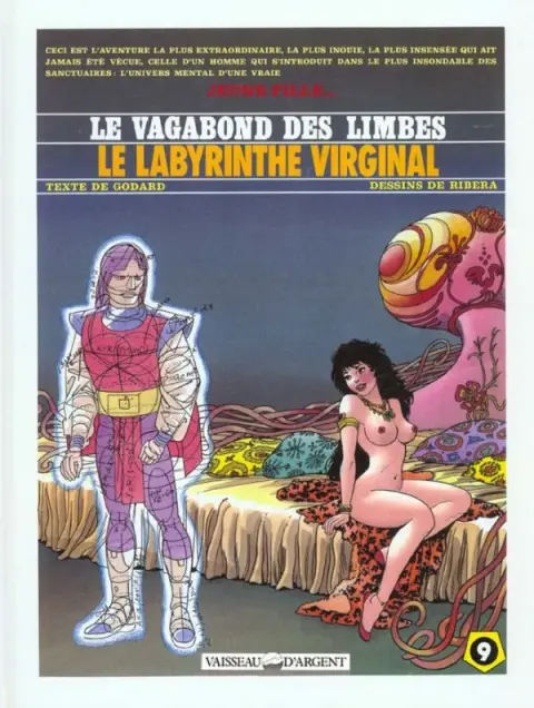 Couverture de l'album Le Vagabond des Limbes Tome 9 Le labyrinthe virginal