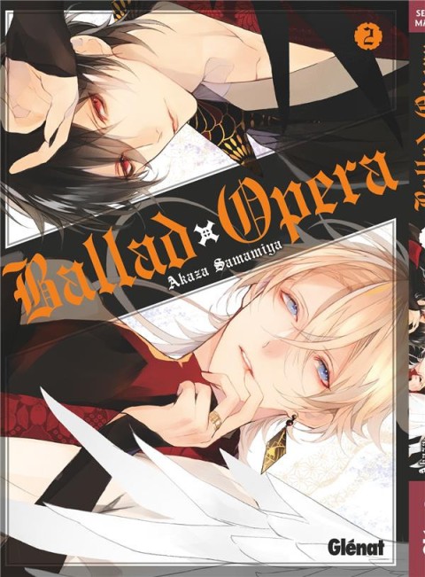 Couverture de l'album Ballad Opera 2