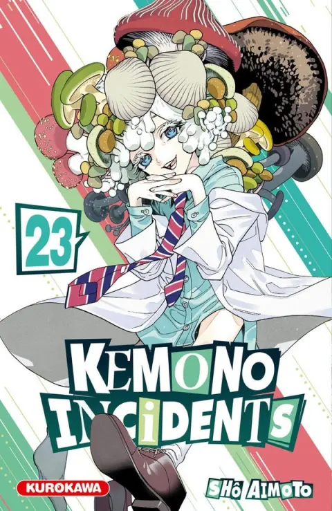 Kemono incidents 23