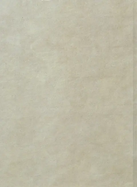 Verso de l'album Prince Vaillant Altaya Tome 1 1937