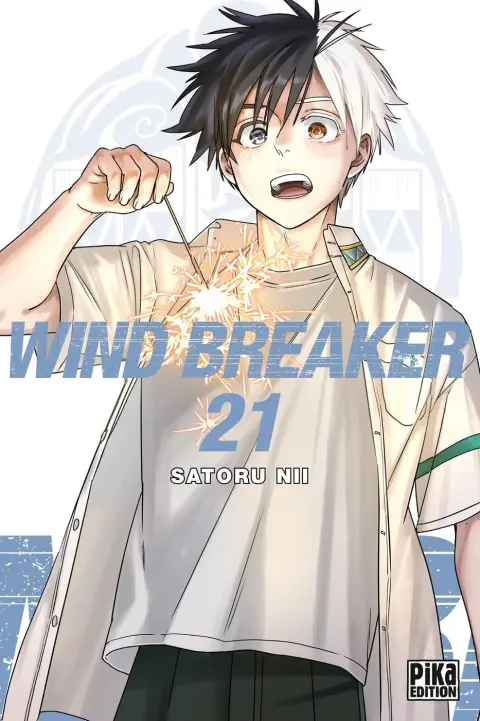 Wind Breaker 21