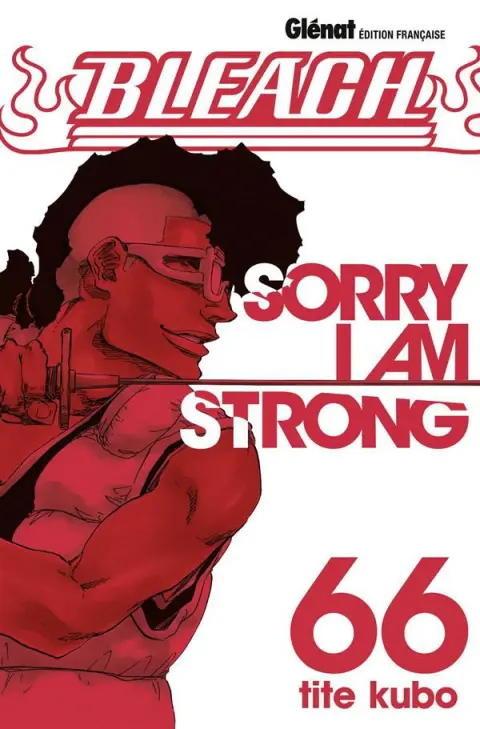 Bleach Tome 66 Sorry I am strong