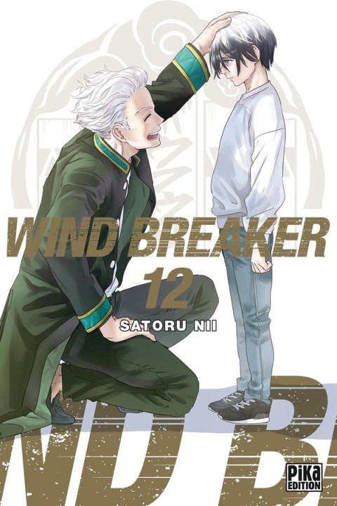 Wind Breaker 12