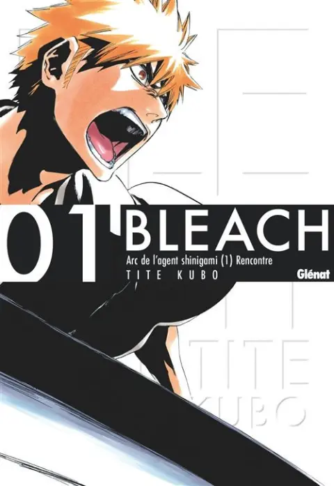 Bleach Edition deluxe 01