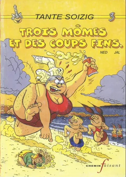 Tante Soizig Tome 3 Trois mômes et des coups fins.
