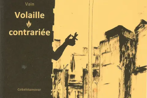 Volaille contrariée