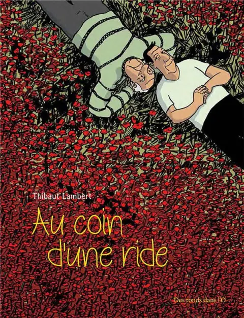 Couverture de l'album Au coin d'une ride