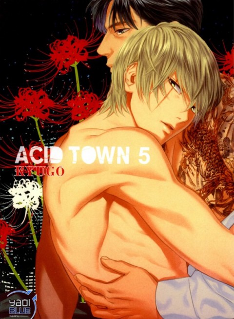 Couverture de l'album Acid Town 5