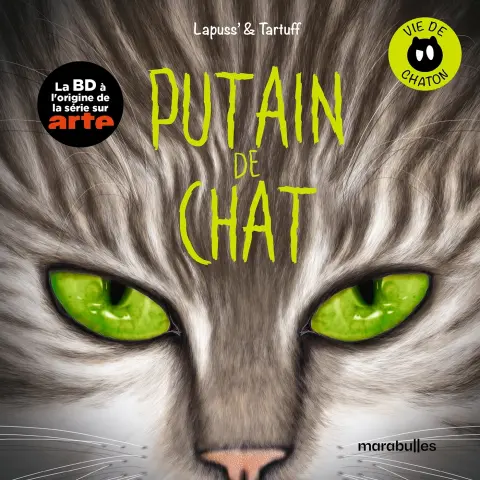Putain de chat 2 Vie de chaton