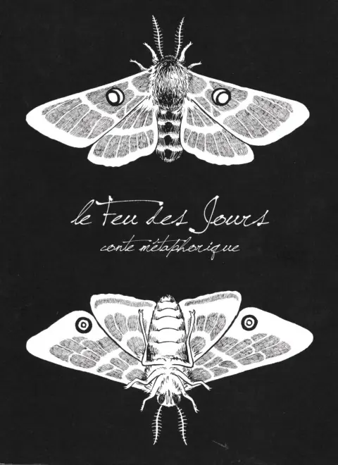 Le feu des jours Conte métaphorique