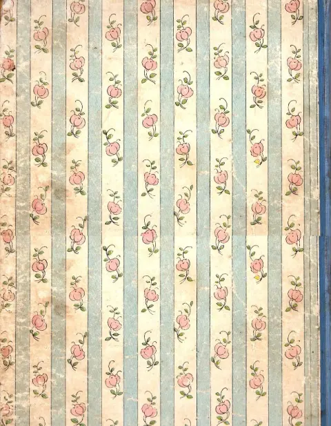 Verso de l'album Bécassine Tome 1 L'enfance de Bécassine