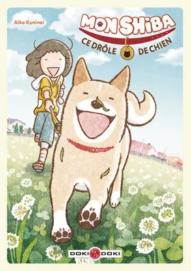 Mon Shiba, ce drôle de chien