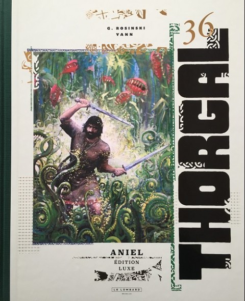 Couverture de l'album Thorgal Tome 36 Aniel