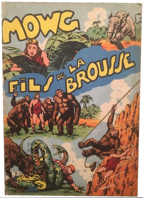 Couverture de l'album Mowg Fils de la Brousse