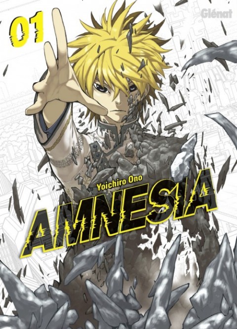 Couverture de l'album Amnesia 01